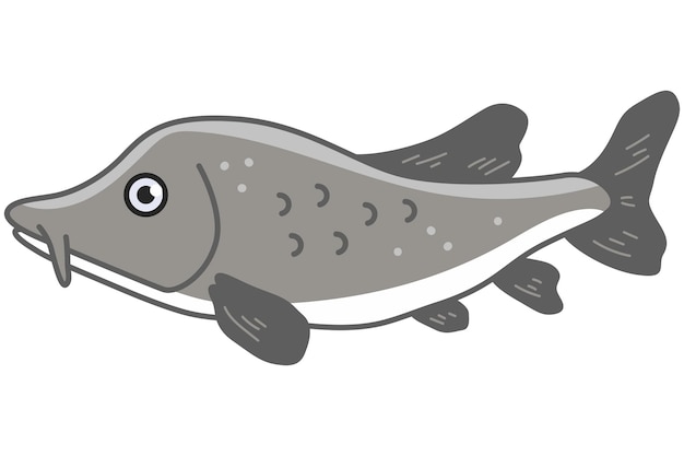 Sturgeon fish vector cartoon illustration isolated on a white background