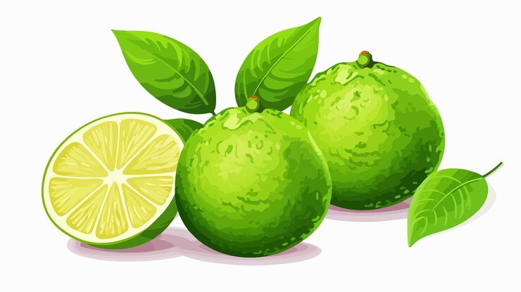 Vector stylish bergamot wallpaper with free space for text