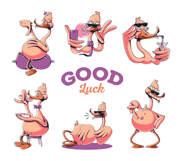 Vector stylish duck stickers set illustrations for tshirts posters sweatshirts and souvenirs vector