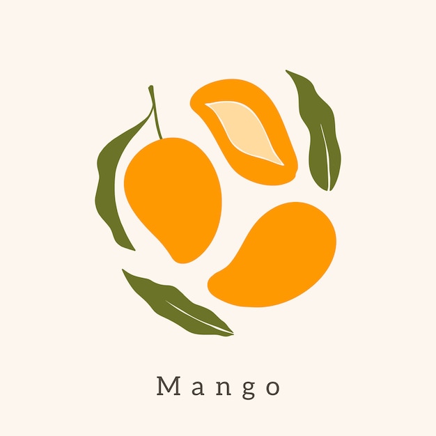 Stylish Mango vector design.