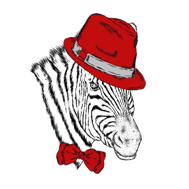 Elegante hipster zebra con cappello