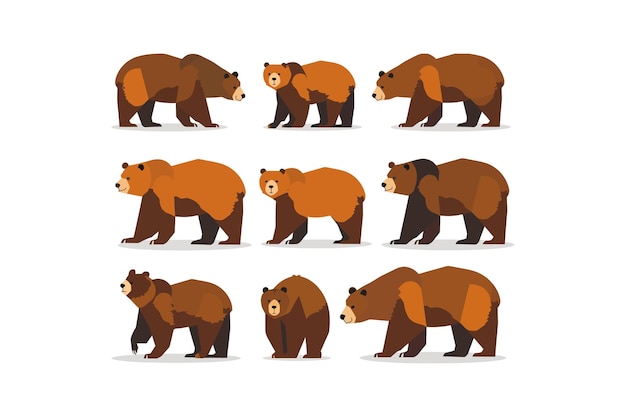 Vector stylized bears walking in a row vector illustration design