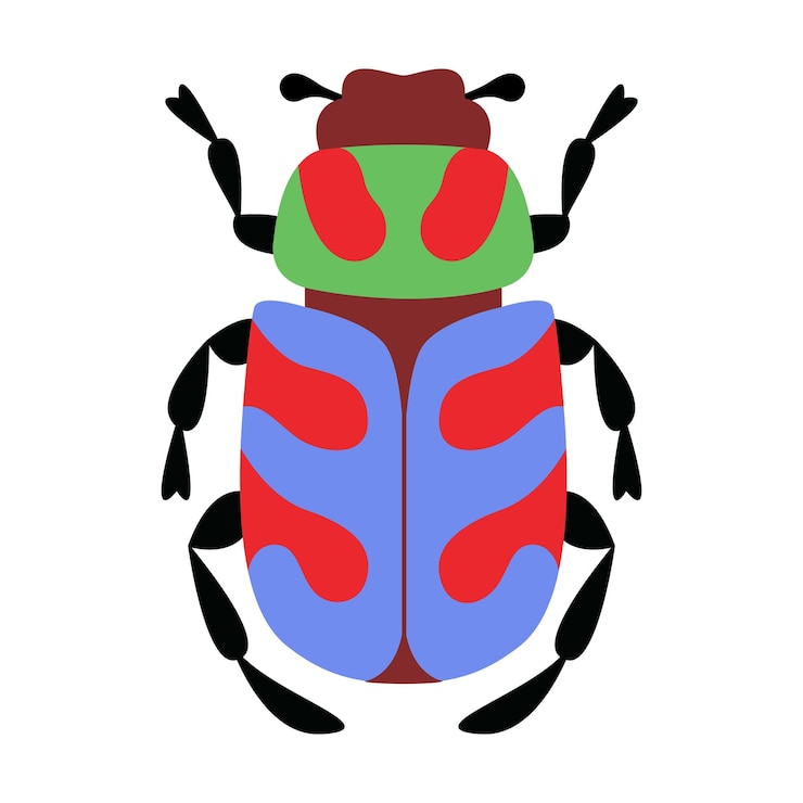 Vector stylized beetle with a unique and colorful design hand drawn trendy flat style