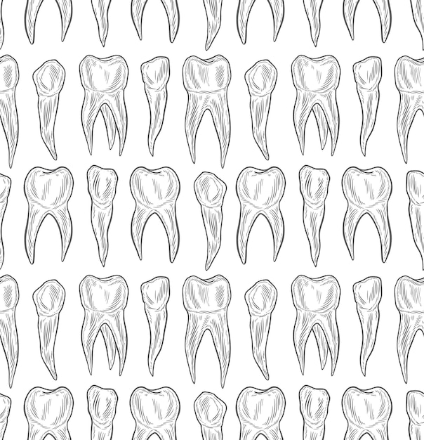 Vector stylized doodle hand drawn outline of teeth a seamless tooth pattern background oral dental