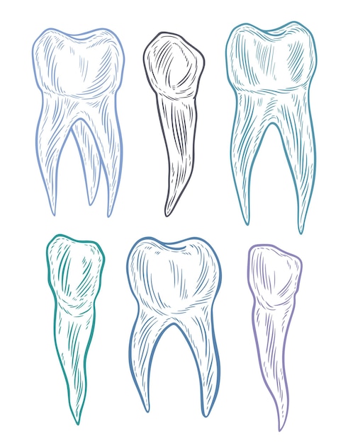 Set di denti stilizzati a forma di doodle disegnato a mano sfondo del dente sano