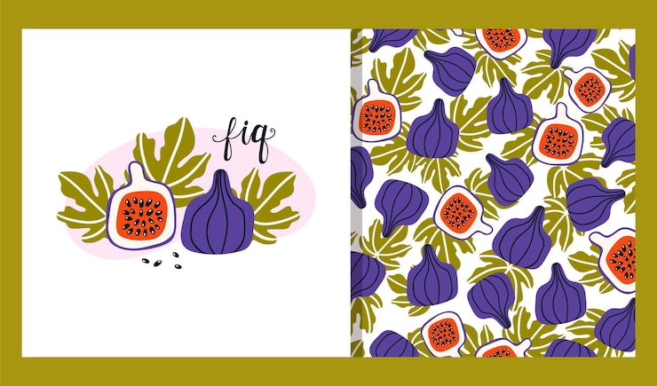 Vector stylized figs and fig leaves set of poster and seamless pattern cartoon fruits vector illustrations