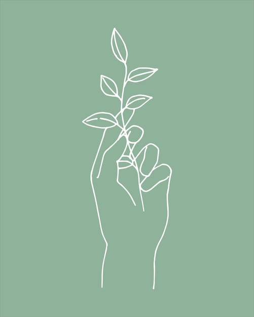 Stylized graceful female hands and a plant boho modern aesthetic background with women hand gestures