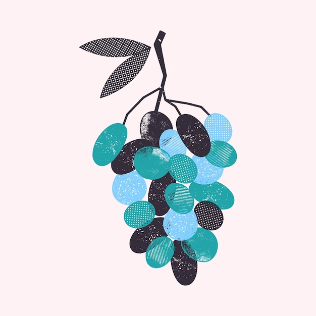 Стилизованная виноградная ветвь для дизайна открытки и плаката. Векторная текстура. Спелые фрукты.