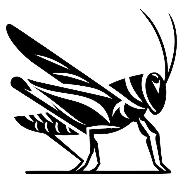 Vector stylized grasshopper illustration