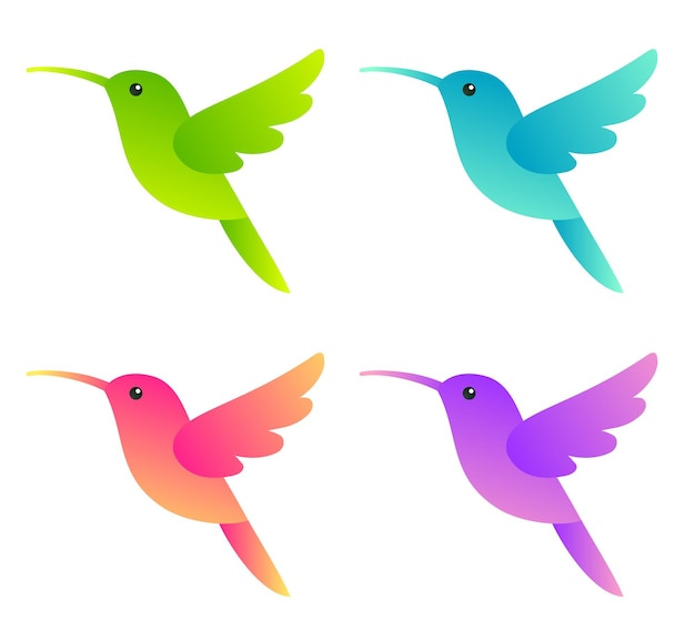 Vettore set di 4 colori colibrì stilizzati