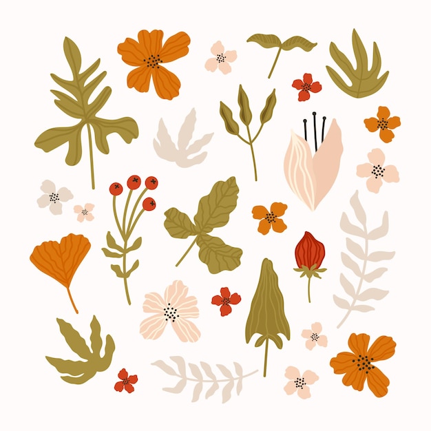 양식에 일치시키는 잎 가지 열매와 꽃 손으로 그린 식물 요소의 벡터 컬렉션