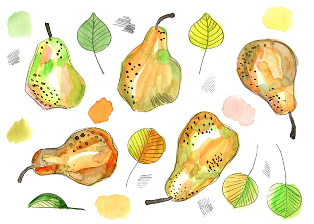 Stylized pears and pear leaves