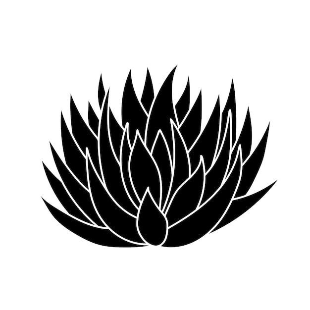 Succulent agave in simple style vector illustration Desert flower silhouette for print and design