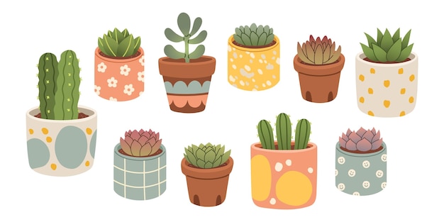 Set di cactus succulenti cactus succulent in vaso in stile flat di cartoni animati cacti succulenti set isolati