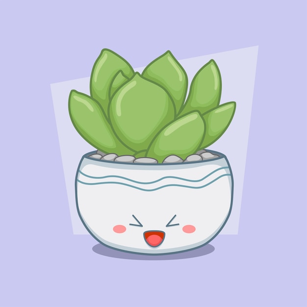 Succulent in a cute round pot