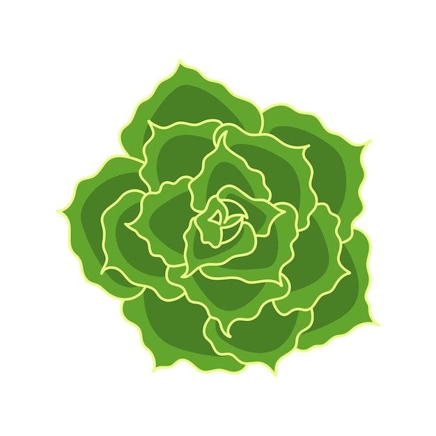 Сочная эхеверия шавиана в мультяшном стиле Цветок пустыни зеленая роза Домашнее растение для печати