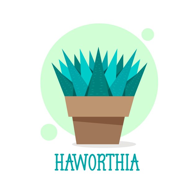 Succulente haworthia in icona linea sottile pentola. illustrazione vettoriale moderna della pianta della casa.