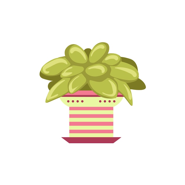 Succulent Plant In Pink Pot