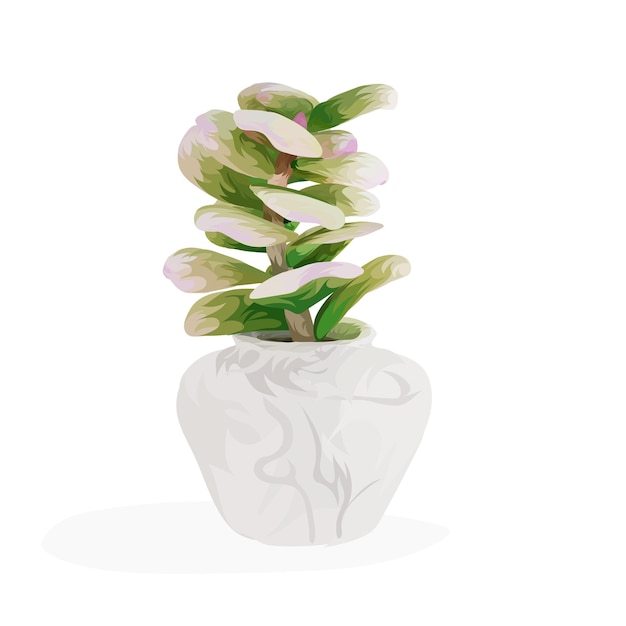 Succulent plant in white pot on white background design realistic hand drawn vectors