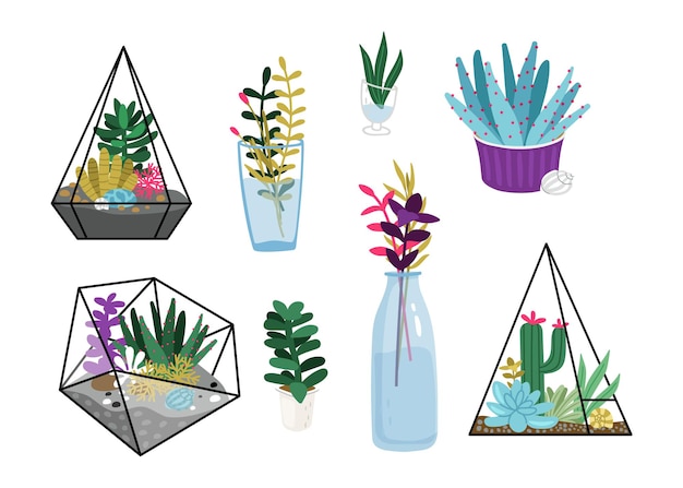 Succulent plants. Garden flowers, terrariums and floral bouquet in glass bottle pot. Seasonal house greens vector set