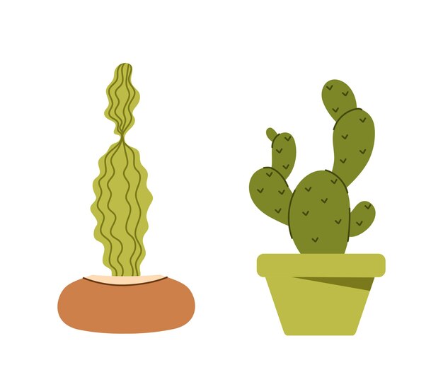 Succulents at flowerpots vector set