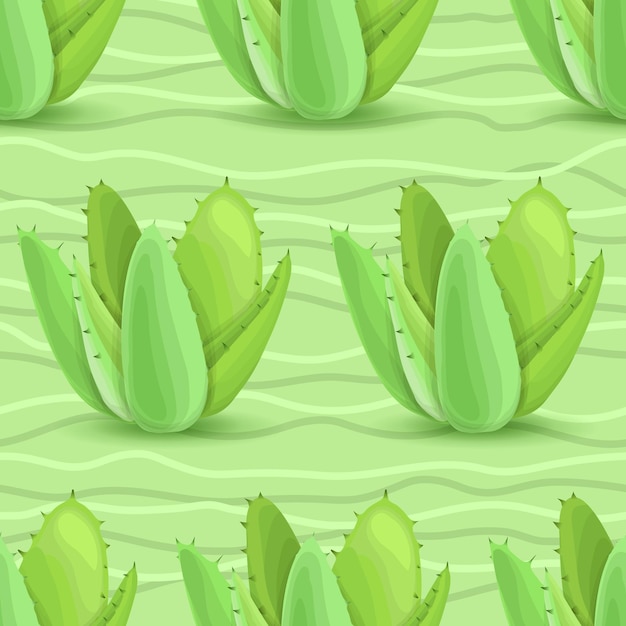 Vector succulents seamless pattern