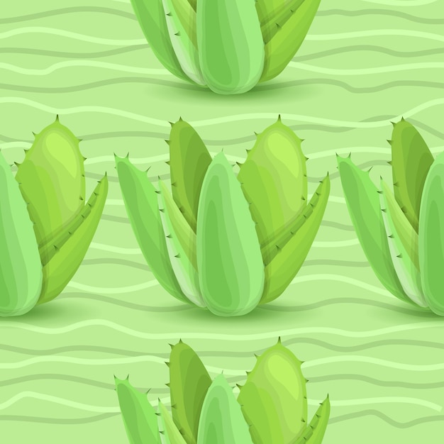 Succulents seamless pattern