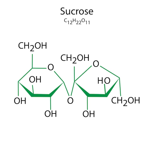 Vector sucrose formule wetenschap concept vector illustratie