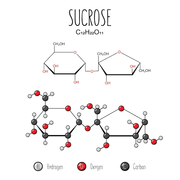 Vector sucrose representation skeletal formula and 2d structure illustration web style illustration vector editable