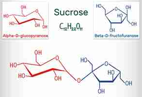 Vector sucrose sugar molecule structural chemical formula and molecule model sheet of paper in a cage