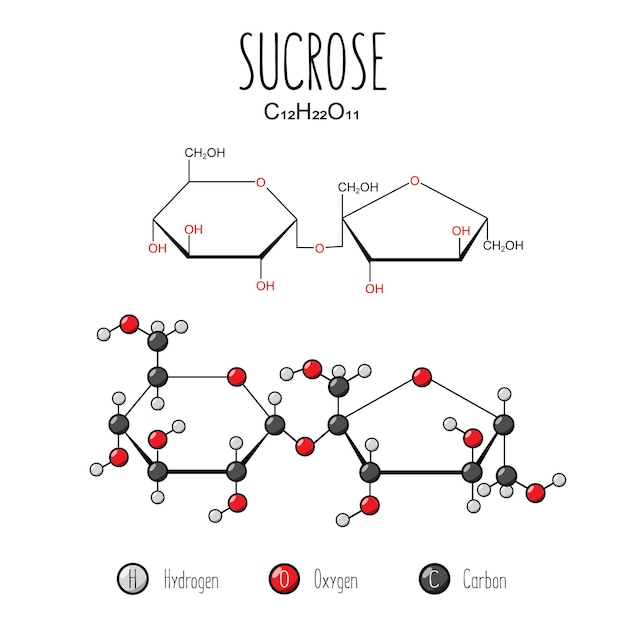 Sucrose-weergave Skeletformule en 2D-structuurillustratie Webstijlillustratie Bewerkbare vector