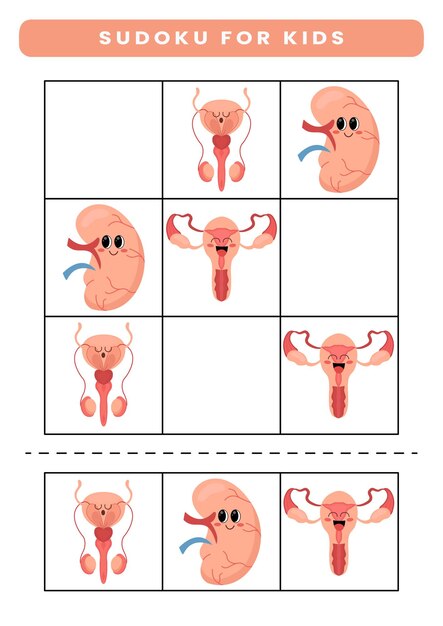 Sudoku voor kinderen met cartoon menselijke anatomie en orgelwerkblad voor kinderen