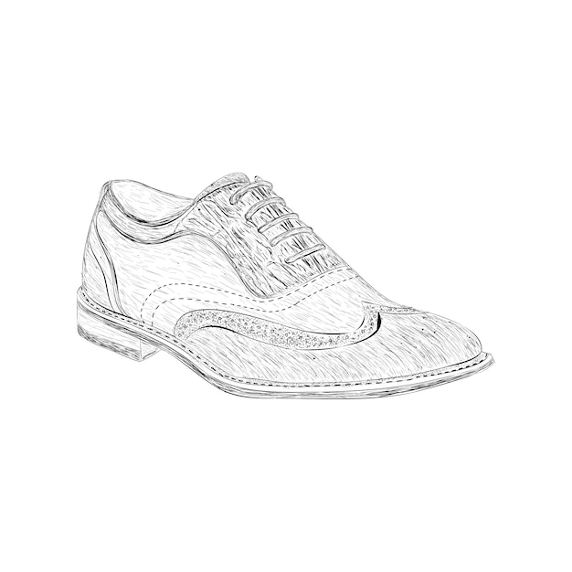 Vector suede wingtips illustration in hand drawn vector