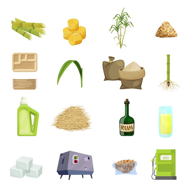 Vector sugar cane cartoon icon set