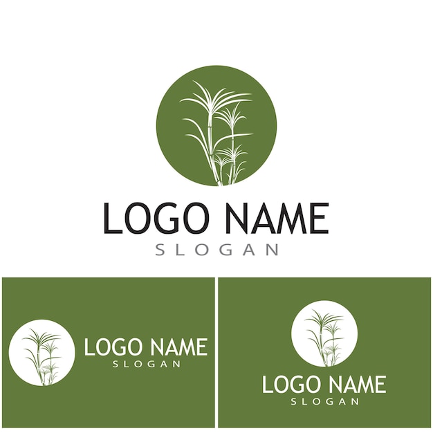 Canna da zucchero logo template simbolo vettore natura