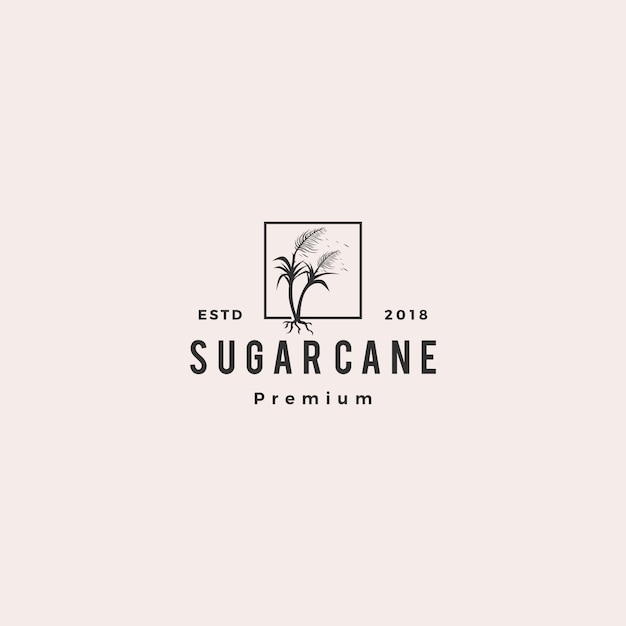 Sugar cane logo vector illustration