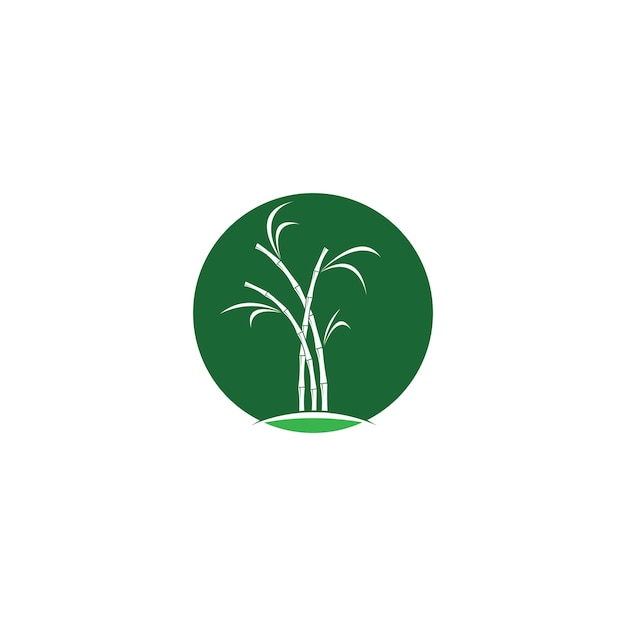 Sugar cane plant logo vector illustration design