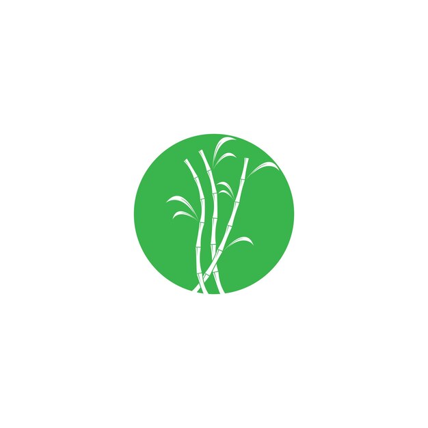 Sugar cane plant logo vector illustration design