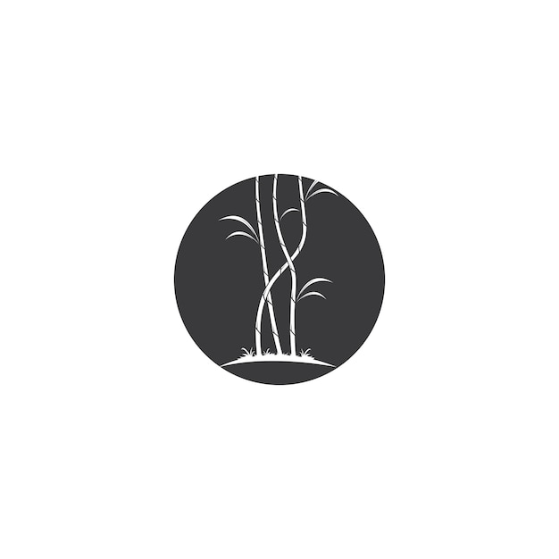 Sugar cane plant logo vector illustration design