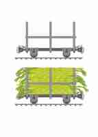 Vector sugar cane wagon simple flat illustration
