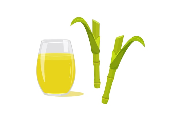 Sugarcane juice in glass glass on white background