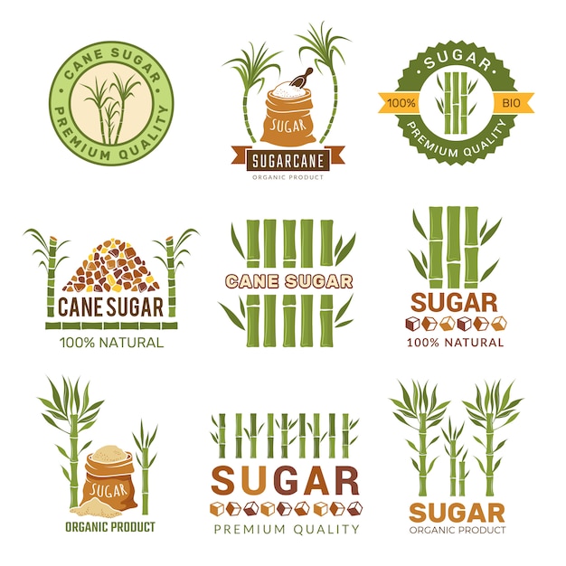 Sugarcane plants, Harvest farm sweets granulated production leaf symbols isolated