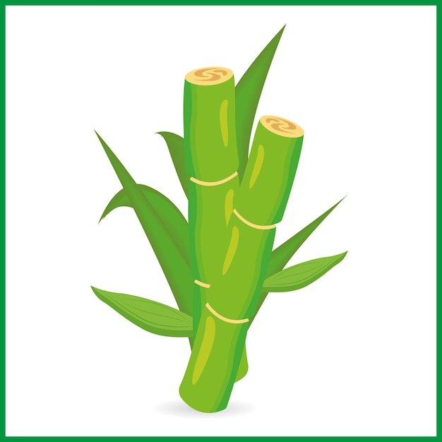 Векторный дизайн сахарного тростника и зеленый дизайн сахарной банки