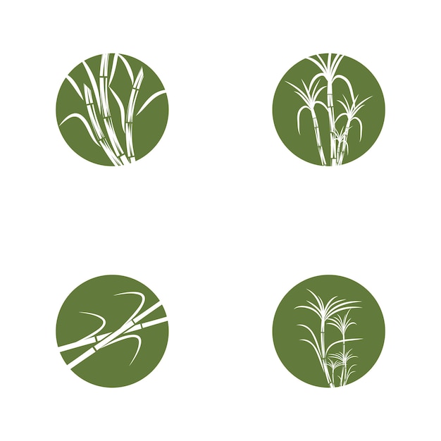 Suikerriet Logo Template vector symbool natuur