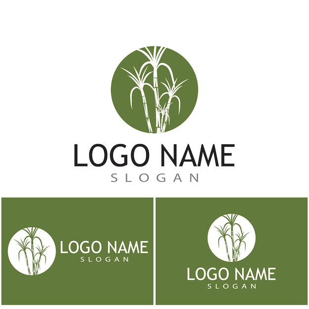 Suikerriet Logo Template vector symbool natuur