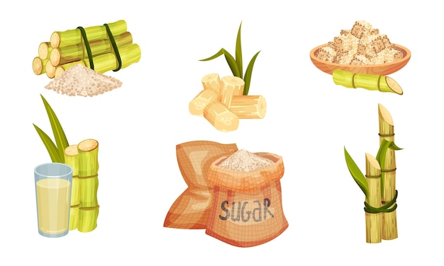 Suikerriet Ongebranchte stengels met bladeren en supervoedsel zoals Bruine Granuleerde Suiker Vector Set