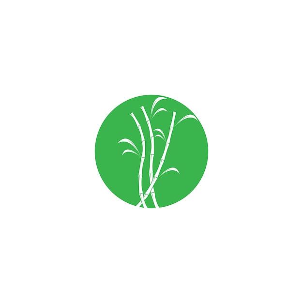 Suikerriet plant logo vector illustratie ontwerp