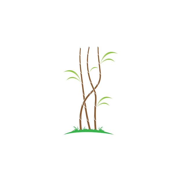 Suikerriet plant logo vector illustratie ontwerp