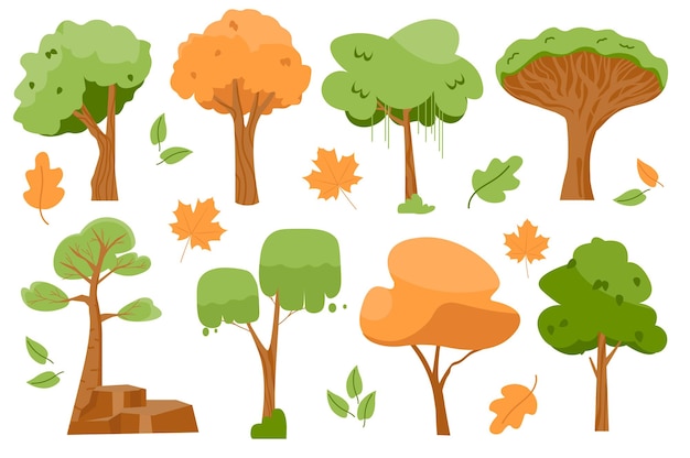 Летние и осенние деревья изолированные элементы в плоском дизайне. Связка разных деревьев