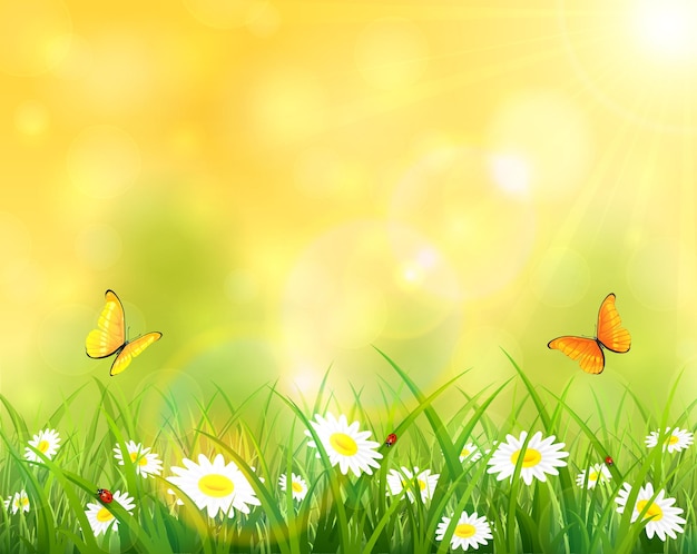 Vettore giornata di sole del fondo di estate con le farfalle che volano sopra l'erba con l'illustrazione dei fiori e delle coccinelle